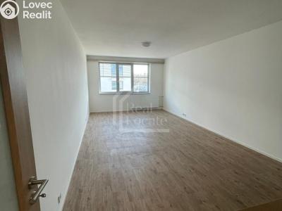 Rent apartment 1+KK Praha, Pod soutratím č. 3