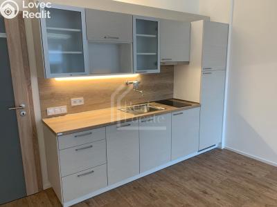 Rent apartment 1+KK Praha, Pod soutratím č. 1