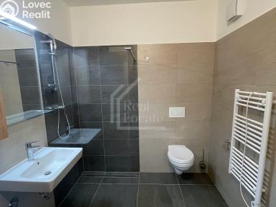 Rent apartment 1+KK Praha, Pod soutratím č. 2