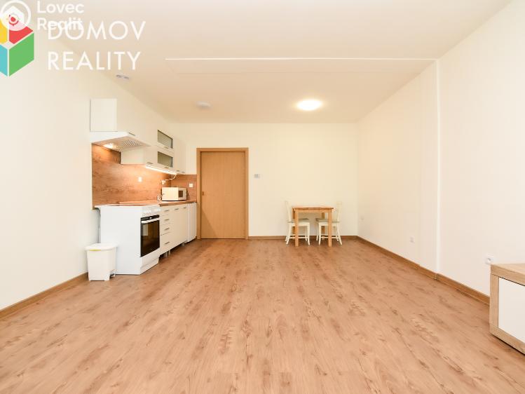 Rent apartment 1+KK Chyňava, Obecní č. 2