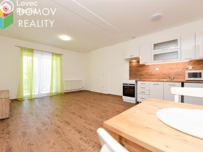 Rent apartment 1+KK Chyňava, Obecní č. 3