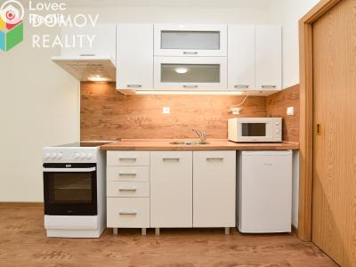 Rent apartment 1+KK Chyňava, Obecní č. 4