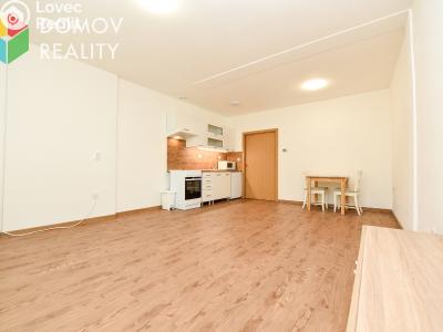 Rent apartment 1+KK Chyňava, Obecní č. 6