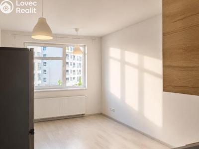 Rent apartment 4+KK Praha, Ke kříži č. 7