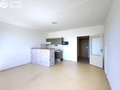 Sale apartment 1+KK Plzeň, Hodonínská č. 3
