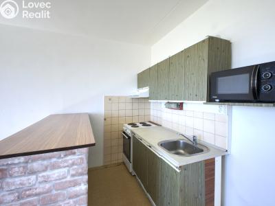Sale apartment 1+KK Plzeň, Hodonínská č. 4