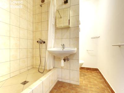 Sale apartment 1+KK Plzeň, Hodonínská č. 7