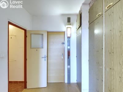 Sale apartment 1+KK Plzeň, Hodonínská č. 8