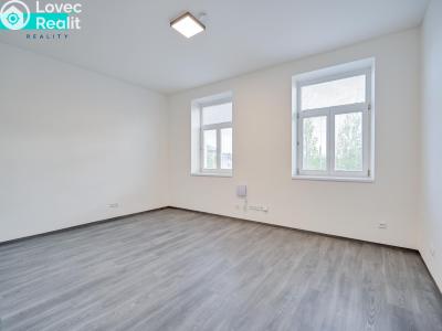 Prodej bytu 1+1 Šternberk, Potoční č. 3