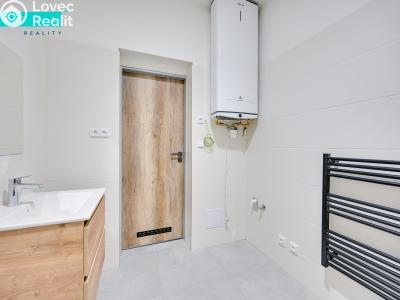 Prodej bytu 1+1 Šternberk, Potoční č. 11