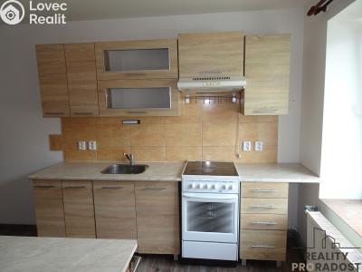 Rent apartment 3+KK Bělušice č. 1