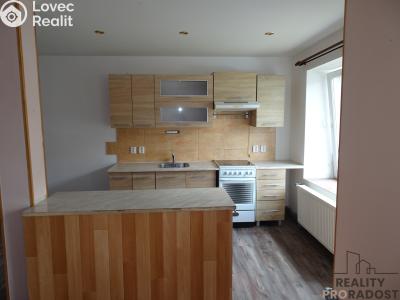 Rent apartment 3+KK Bělušice č. 3