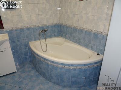 Rent apartment 3+KK Bělušice č. 6