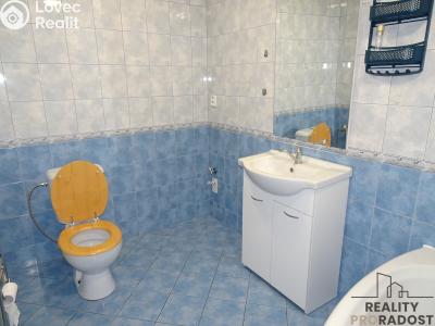 Rent apartment 3+KK Bělušice č. 7