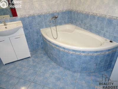 Rent apartment 3+KK Bělušice č. 8