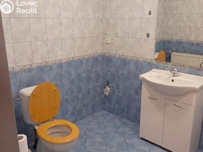 Rent apartment 3+KK Bělušice č. 9