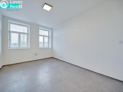Prodej bytu 1+1 Šternberk, Potoční č. 3