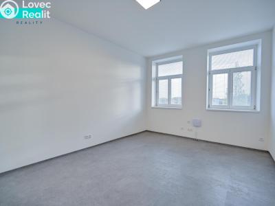 Prodej bytu 1+1 Šternberk, Potoční č. 7