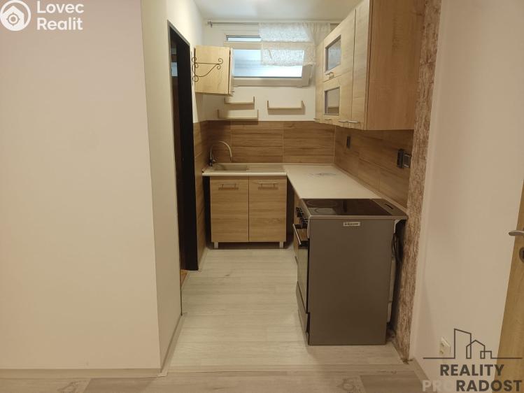 Rent apartment 1+1 Bělušice č. 1