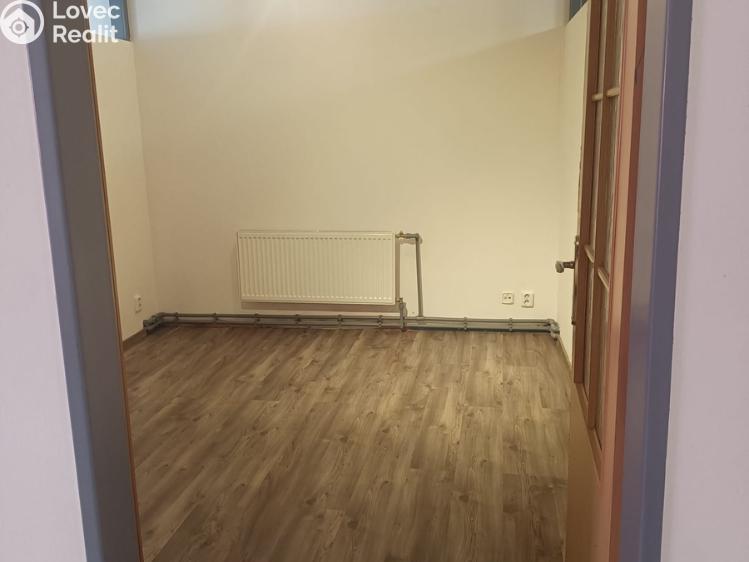 Rent apartment 1+1 Bělušice č. 3