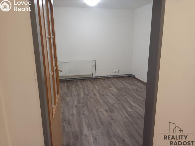Rent apartment 1+1 Bělušice č. 4