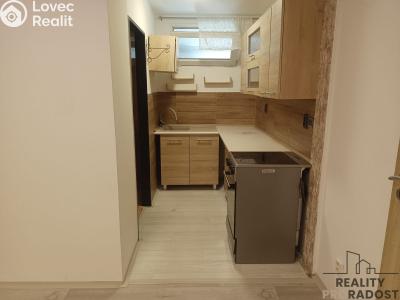 Rent apartment 1+1 Bělušice č. 1