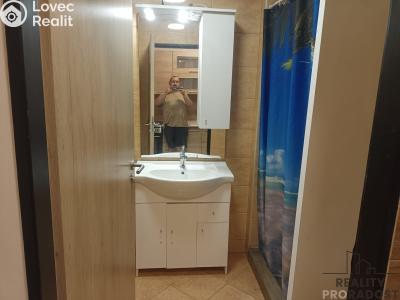 Rent apartment 1+1 Bělušice č. 2