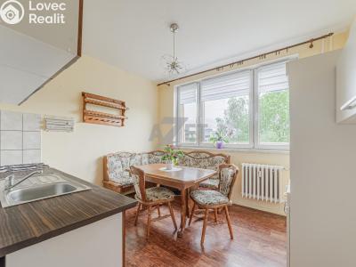 Sale apartment 1+1 Karviná, Slovenská č. 4