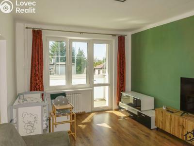 Sale apartment 1+1 Karviná, Ciolkovského č. 5