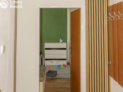 Sale apartment 1+1 Karviná, Ciolkovského č. 10