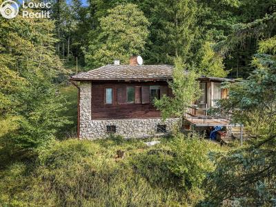 Продажа хижины Radějov č. 4