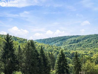 Продажа хижины Radějov č. 18
