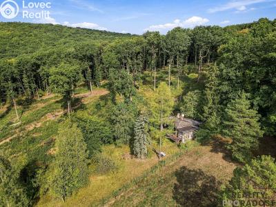 Продажа хижины Radějov č. 5