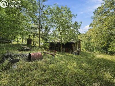 Продажа хижины Radějov č. 21