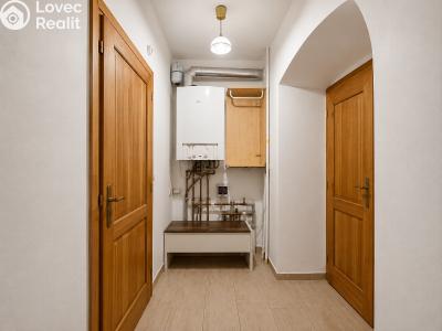 Rent apartment 2+KK Kolín, Kutnohorská 106 č. 9