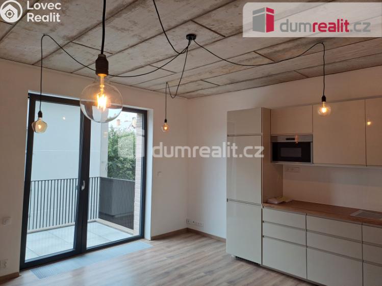 Rent apartment 1+KK Libčice nad Vltavou, Letecká č. 1