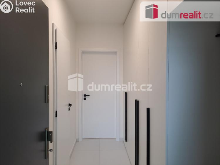 Rent apartment 1+KK Libčice nad Vltavou, Letecká č. 3