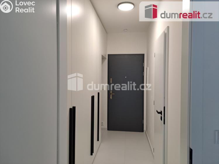 Rent apartment 1+KK Libčice nad Vltavou, Letecká č. 5