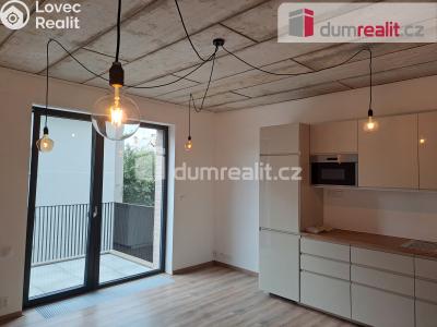 Rent apartment 1+KK Libčice nad Vltavou, Letecká č. 1