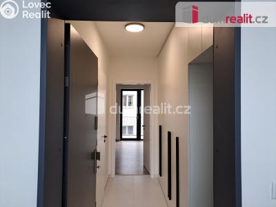 Rent apartment 1+KK Libčice nad Vltavou, Letecká č. 2