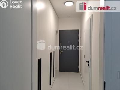 Rent apartment 1+KK Libčice nad Vltavou, Letecká č. 5