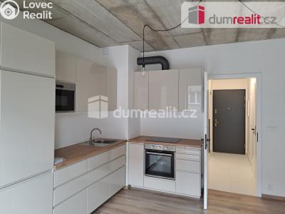 Rent apartment 1+KK Libčice nad Vltavou, Letecká č. 6
