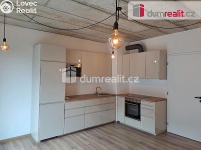 Rent apartment 1+KK Libčice nad Vltavou, Letecká č. 7
