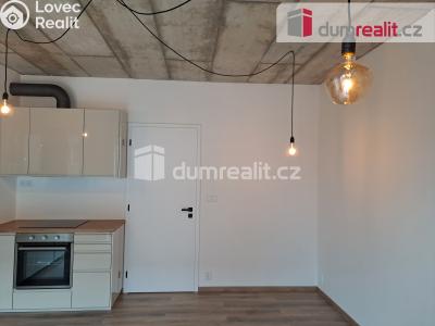 Rent apartment 1+KK Libčice nad Vltavou, Letecká č. 8