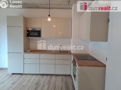 Rent apartment 1+KK Libčice nad Vltavou, Letecká č. 9