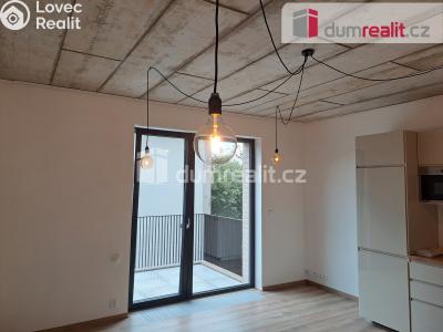 Rent apartment 1+KK Libčice nad Vltavou, Letecká č. 10