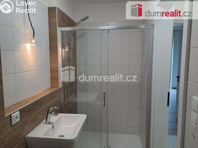 Rent apartment 1+KK Libčice nad Vltavou, Letecká č. 11