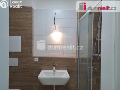 Rent apartment 1+KK Libčice nad Vltavou, Letecká č. 12