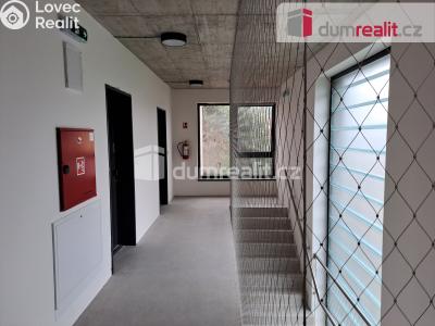 Rent apartment 1+KK Libčice nad Vltavou, Letecká č. 14