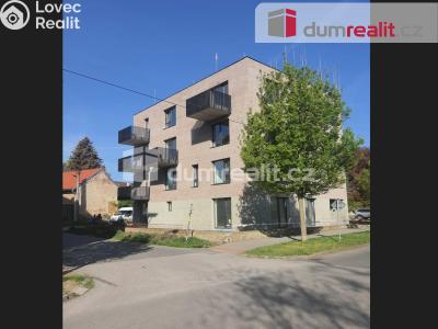 Rent apartment 1+KK Libčice nad Vltavou, Letecká č. 19
